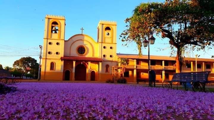 Iglesia con alfombra de flores moradas